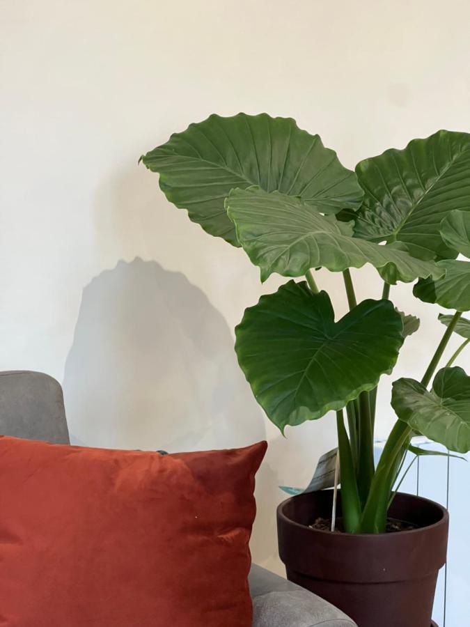Myaka Appartement Wood Cholet Ngoại thất bức ảnh